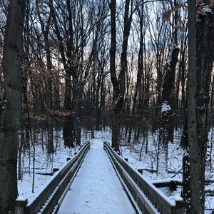 Meet your Posher, Ian